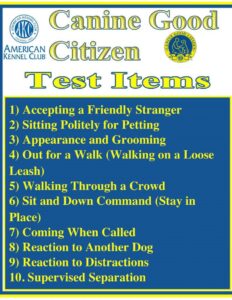 Canine Good Citizen Dog Training Class @ South Bark Dog Wash